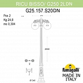 -  FUMAGALLI RICU BISSO/G250 2L DN G25.157.S20.AXF1RDN