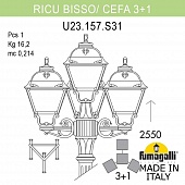 -  FUMAGALLI RICU BISSO/CEFA 3+1 U23.157.S31.VXF1R
